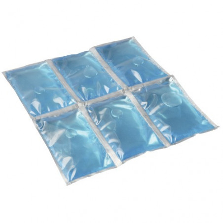 FLEXI FREEZ PACK 6 COMPARTIMENTS FLEXI FREEZ PACK 6 COMPARTIMENTS