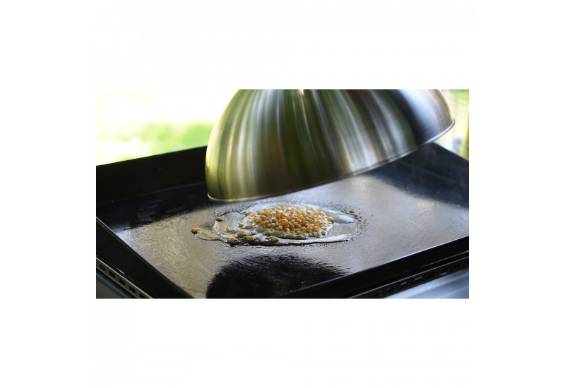 CLOCHE POUR CUISSON A L'ETOUFFEE A LA PLANCHA 2000035409