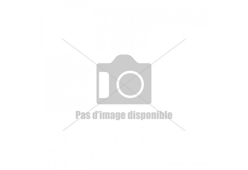 KIT ELECTRODES + SUPPORT POUR BARBECUE 2-3-4 RBS CAMPINGAZ 5010004264 KIT ELECTRODES + SUPPORT POUR BARBECUE 2-3-4 RBS CAMPINGAZ 5010004264